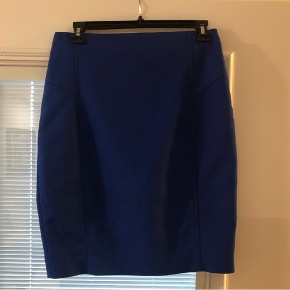 Express pin skirt size 4
